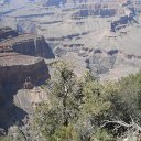 arizona from other cameras - DSCF1430